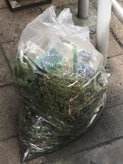 商店街清掃